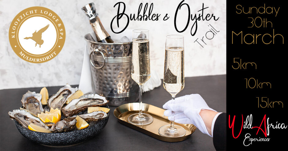 Bubbles and Oyster – Kloofzicht